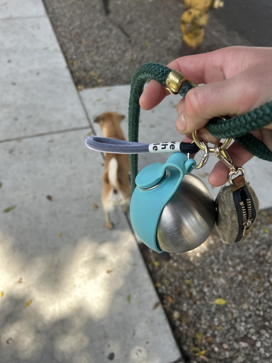 No more carrying a separate bowl